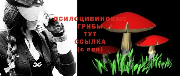 бошки Мегион